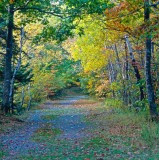 Near Halifax, Nova Scotia