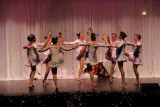 IMG_4246.jpg