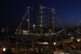 IMG_8248.jpg