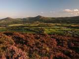 The Little and Great Sugarloafs from Carrickgollogan