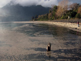 Volcanic deposits, Lago Ranco