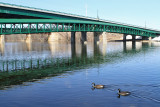 New Crossing