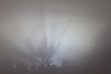 Fog Flash