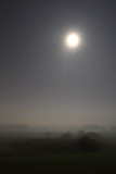 Moonbeams in the Mist