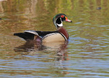 D30_1671.jpg