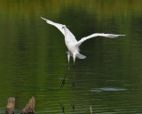 D30_4319.jpg