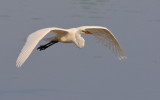 D30_4341.jpg