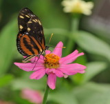 D30_7710.jpg