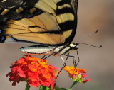 D30_8091 Crop.jpg