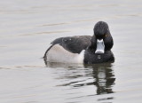 D31_4291.jpg