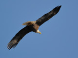 D31_5660.jpg