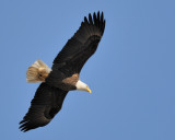 D31_5665.jpg