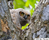 D32_3973 CR.jpg