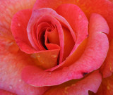 D32_5064.jpg