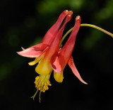 D32_4095.jpg