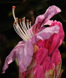 D32_4104.jpg