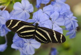 D32_5494.jpg
