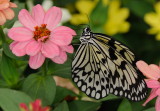 D32_5561.jpg