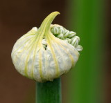 D32_5799.jpg