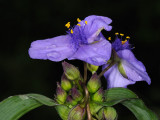 D32_6005.jpg