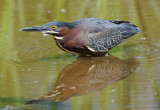 D32_6638.jpg