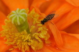 D32_6794.jpg