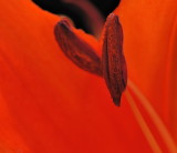 D32_7827.jpg