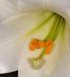 D32_8965.jpg