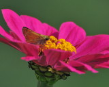 D33_3086.jpg