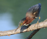 D33_3898.jpg