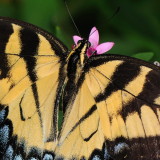 D33_4263.jpg