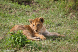 20110919-_H1H2347.jpg