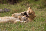 20110919-_H1H2341.jpg