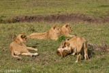 20110919-_H1H2286.jpg