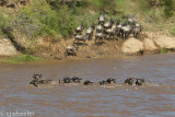 We did get to see a small crossing