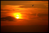 Sunset at Sheringham.