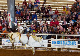 Brazoria County Fair bronco rider 02