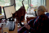 Mom prevailing in battle despite impediments