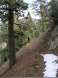 South Fork Trail - San Gabriel Mountains