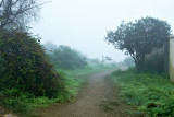 Path from Nabi Ayub Tomb