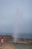 Blow hole Mugshail