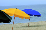 Sunbrellas