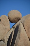 Joshua Tree National Park