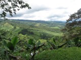 costa rica 2012 027.jpg