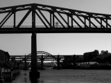 The Tyne bridges