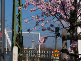 P1090457.JPG