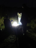 Moth Trapping