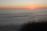 Carlsbad State Beach