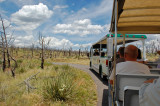 Tram ride