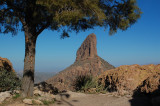 The Lone Pine tree